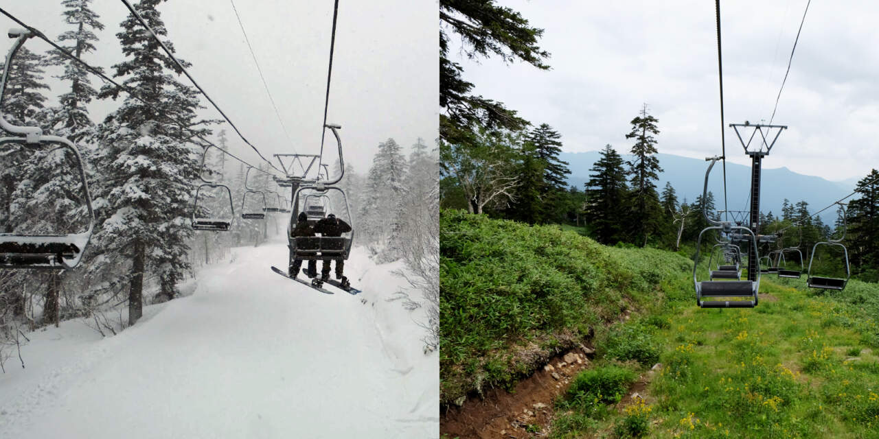 黒岳のリフト下、冬と夏の比較画像