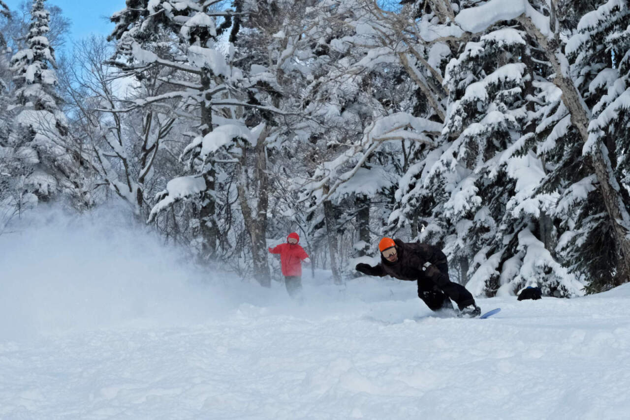 2021 Burton Family Tree Straight Chuter Camber ｜ バートン型