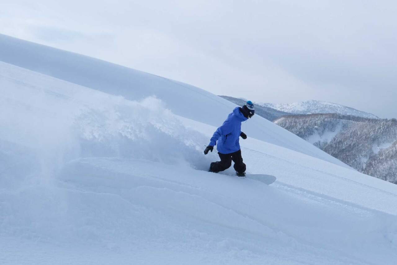 CDEF1C0B-0691-4428-8667-